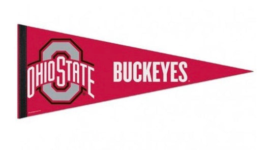 WinCraft NCAA Ohio State Buckeyes Carded Classic Felt Pennant, 12" x 30